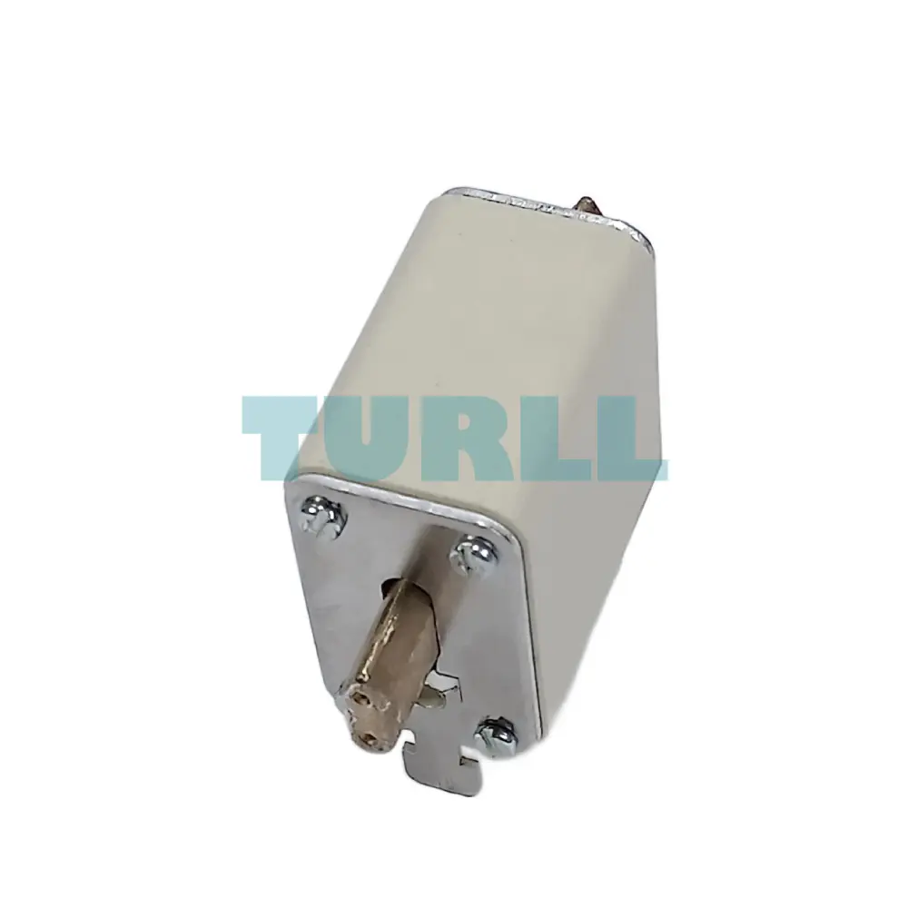 Siemens 3NE1021-0 SITOR Fuse Link, NH00, 100A, gS, 690V AC, Blade Contact