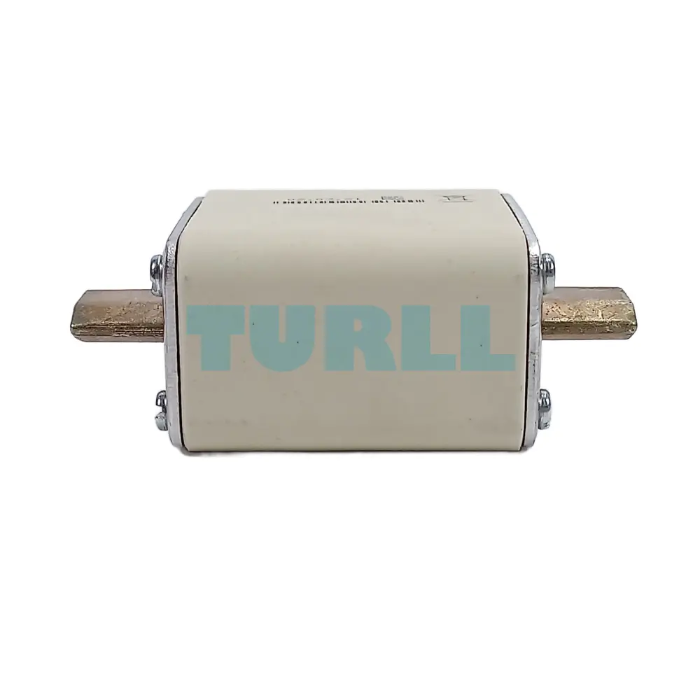 Siemens 3NE1021-0 SITOR Fuse Link, NH00, 100A, gS, 690V AC, Blade Contact