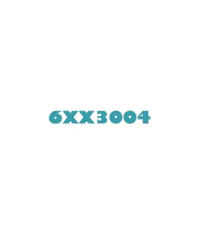 6XX3004 SIEMENS Screw terminal Original Brrand New